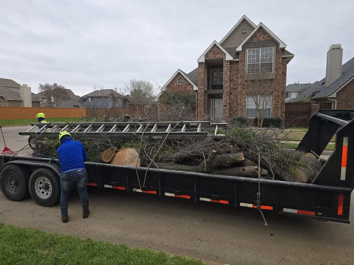 Expert Tree Removal with proper safety equipment in Garrett